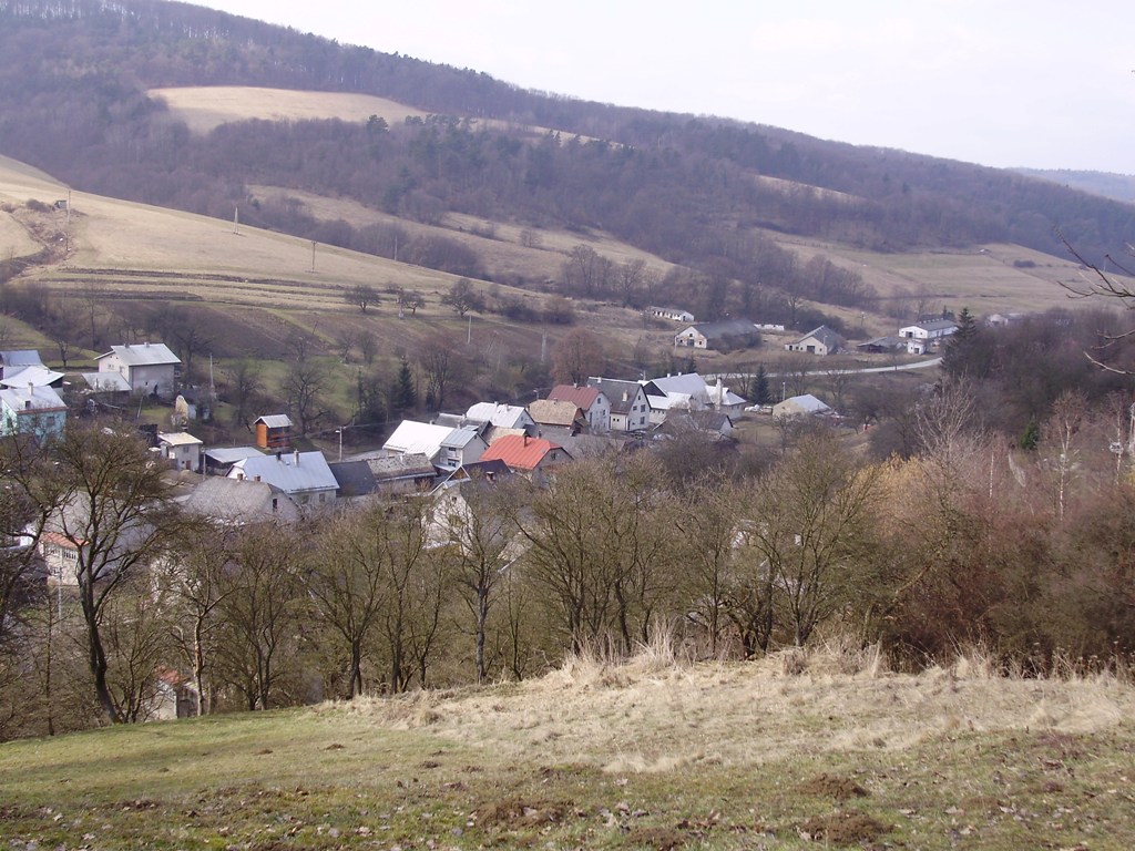 08.JPG