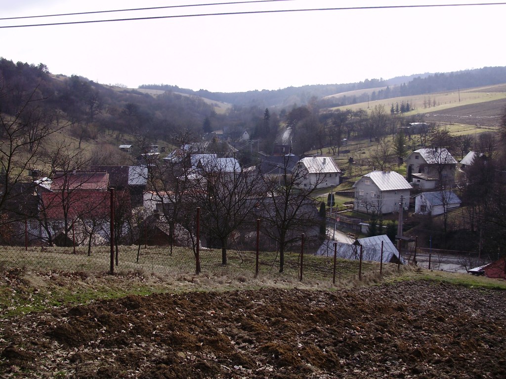 11.JPG
