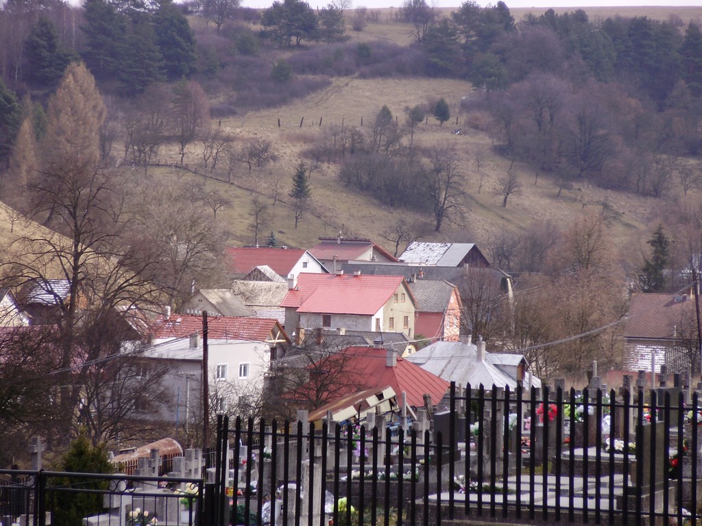 17.JPG