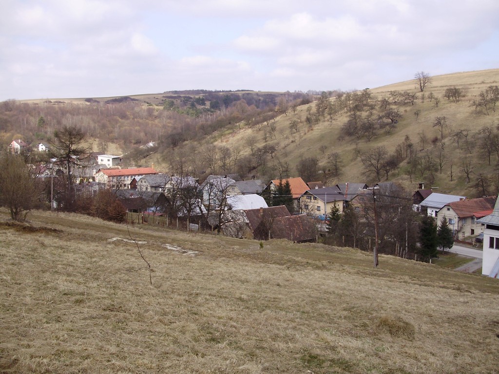 18.JPG