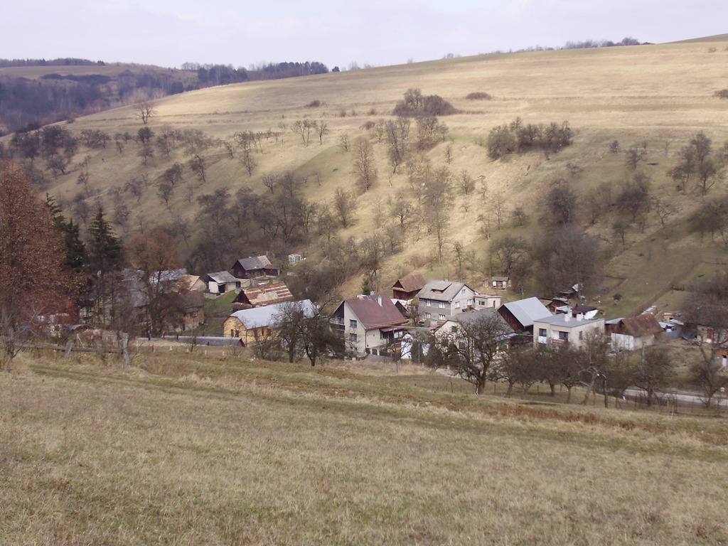 28.JPG