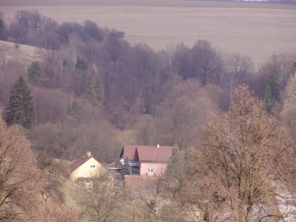 29.JPG