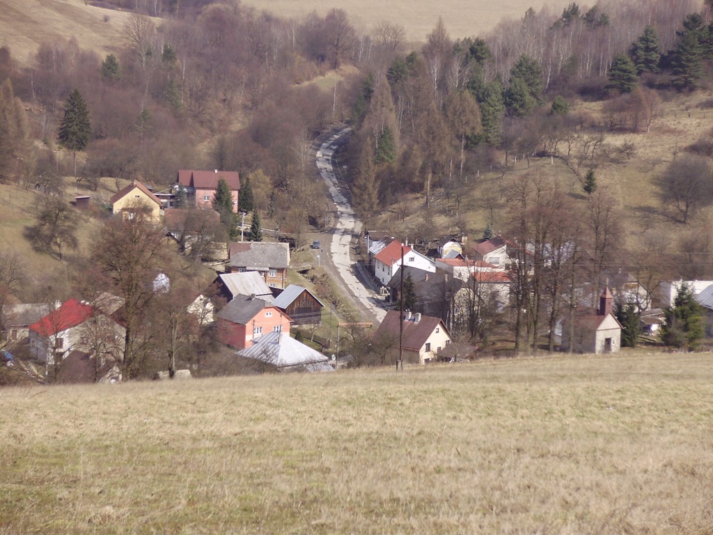31.JPG
